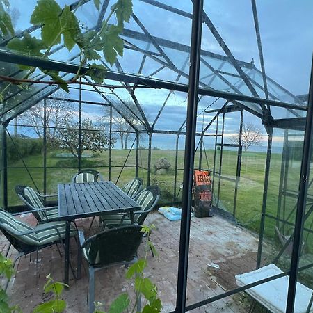 Sea View House - All Year Round Frorup 外观 照片